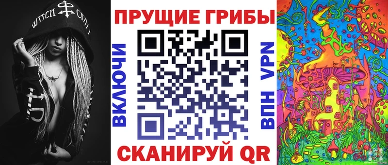 Псилоцибиновые грибы GOLDEN TEACHER  продажа наркотиков  Красный Сулин 